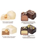 BOITE MANONS 240 G